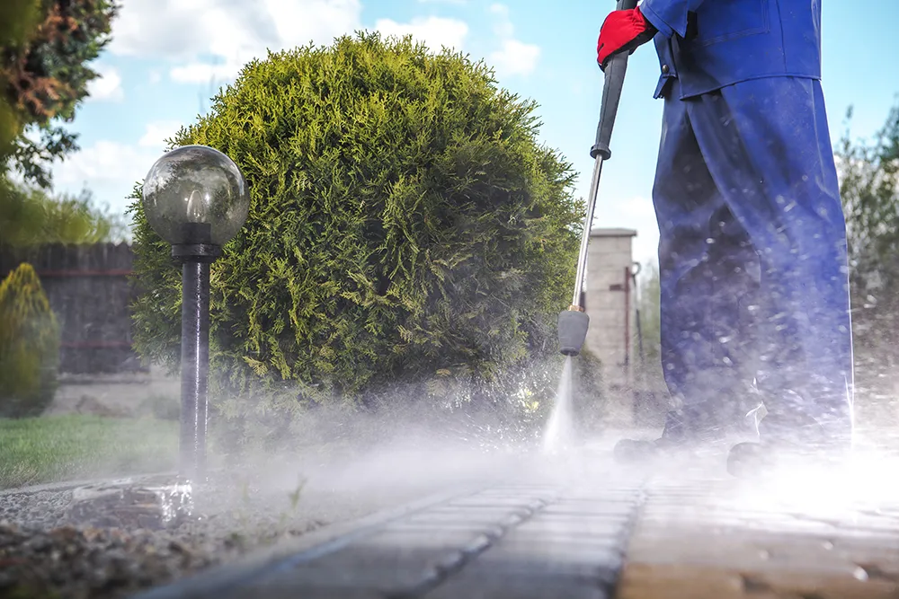 Pandas Paint Residential Pressure Washing Services